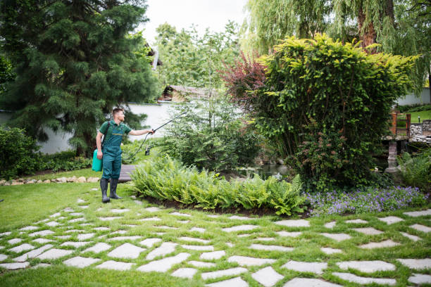 Best Affordable Pest Control Services  in Little Chute, WI