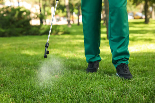 Best Best Pest Control Companies  in Little Chute, WI