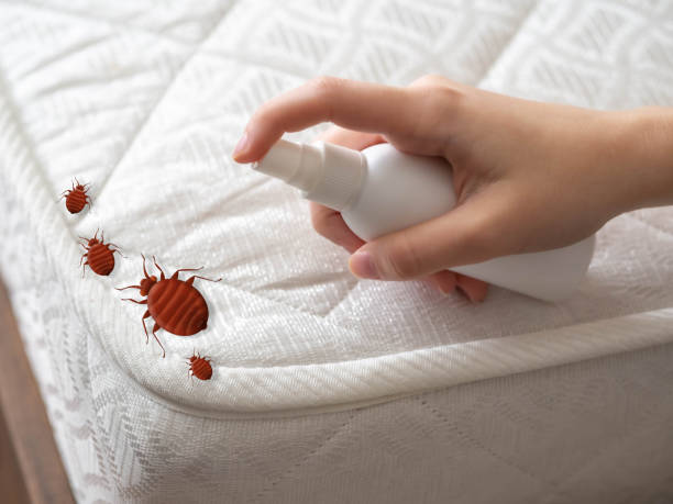 Best Pest Control for Businesses  in Little Chute, WI