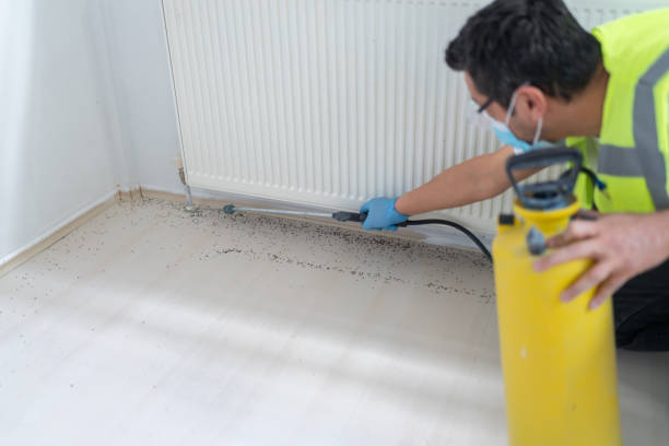 Best Affordable Pest Control Services  in Little Chute, WI