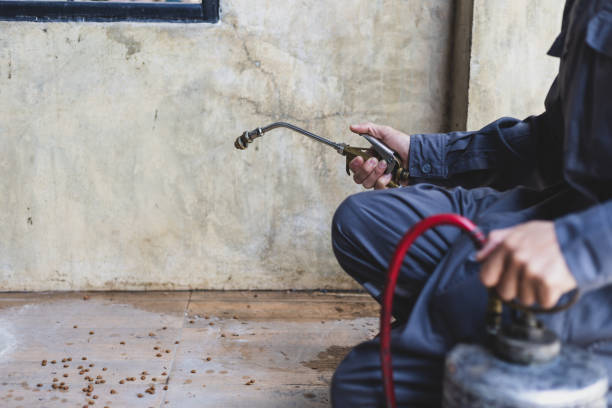 Best Commercial Pest Control Services  in Little Chute, WI