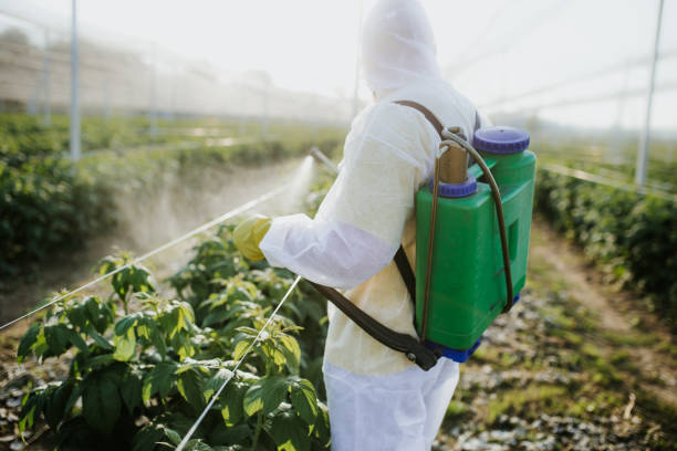 Best Emergency Pest Control  in Little Chute, WI